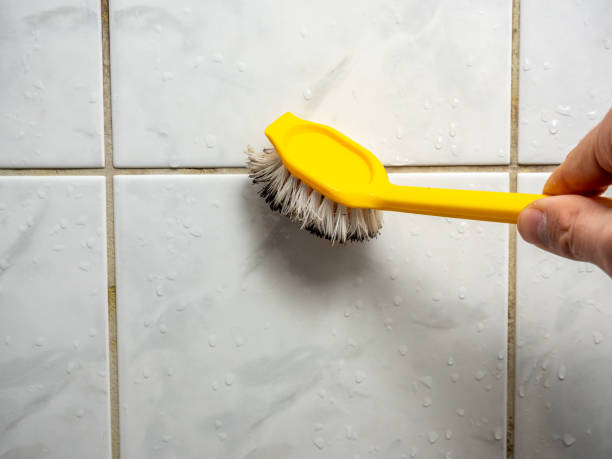 Best Commercial Mold Removal  in Cheney, WA