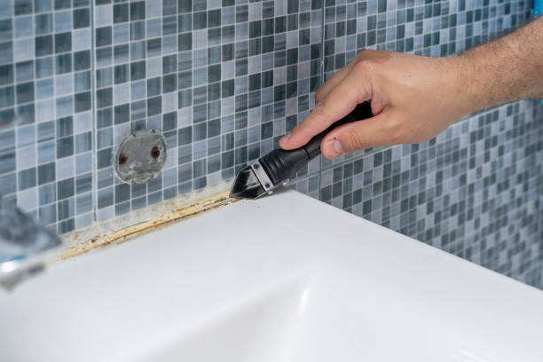Reliable Cheney, WA Mold Removal Solutions
