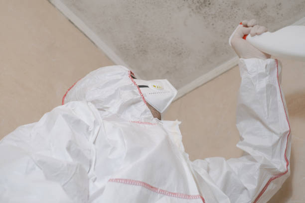 Best Home Mold Removal  in Cheney, WA