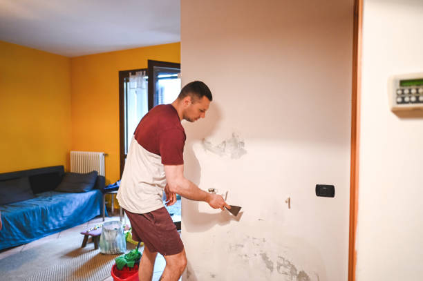 Best Black Mold Removal  in Cheney, WA