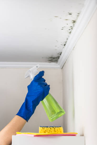 Best Mold Testing  in Cheney, WA
